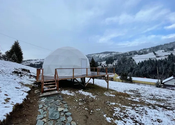 Wildglampingarieseni