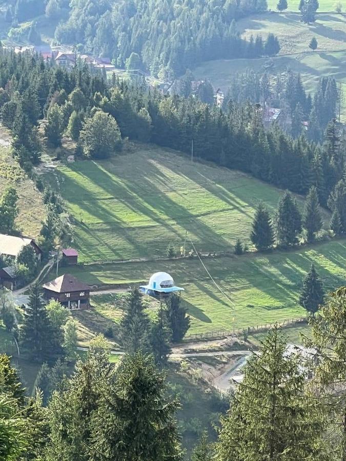 Wildglampingarieseni 3* Arieseni