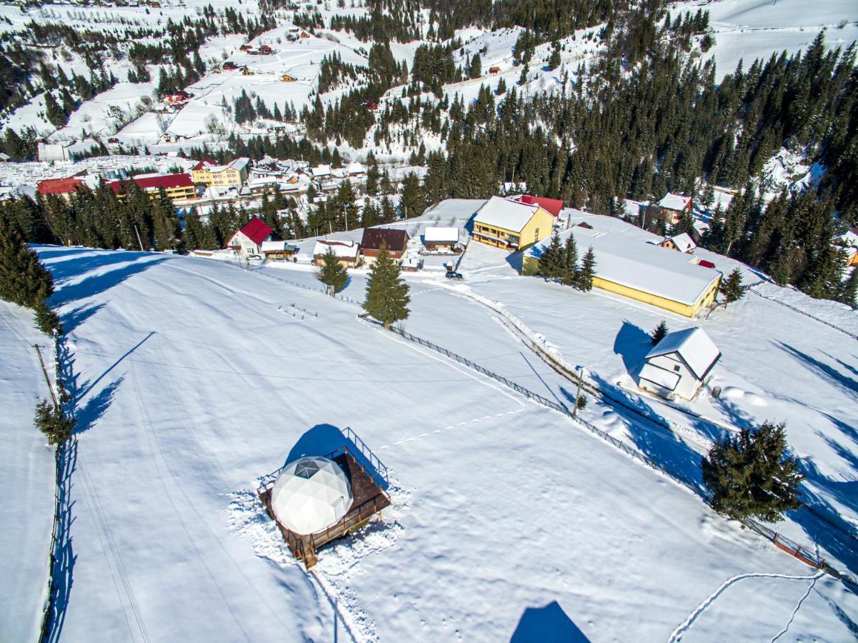 Wildglampingarieseni 3*