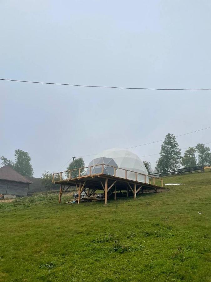 Wildglampingarieseni Luxury tent